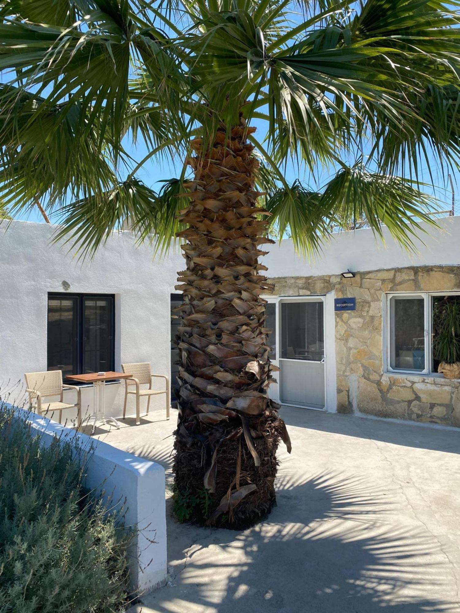 Apartmán Erdem Ciftligi/ Ephesus Arena Selcuk Exteriér fotografie