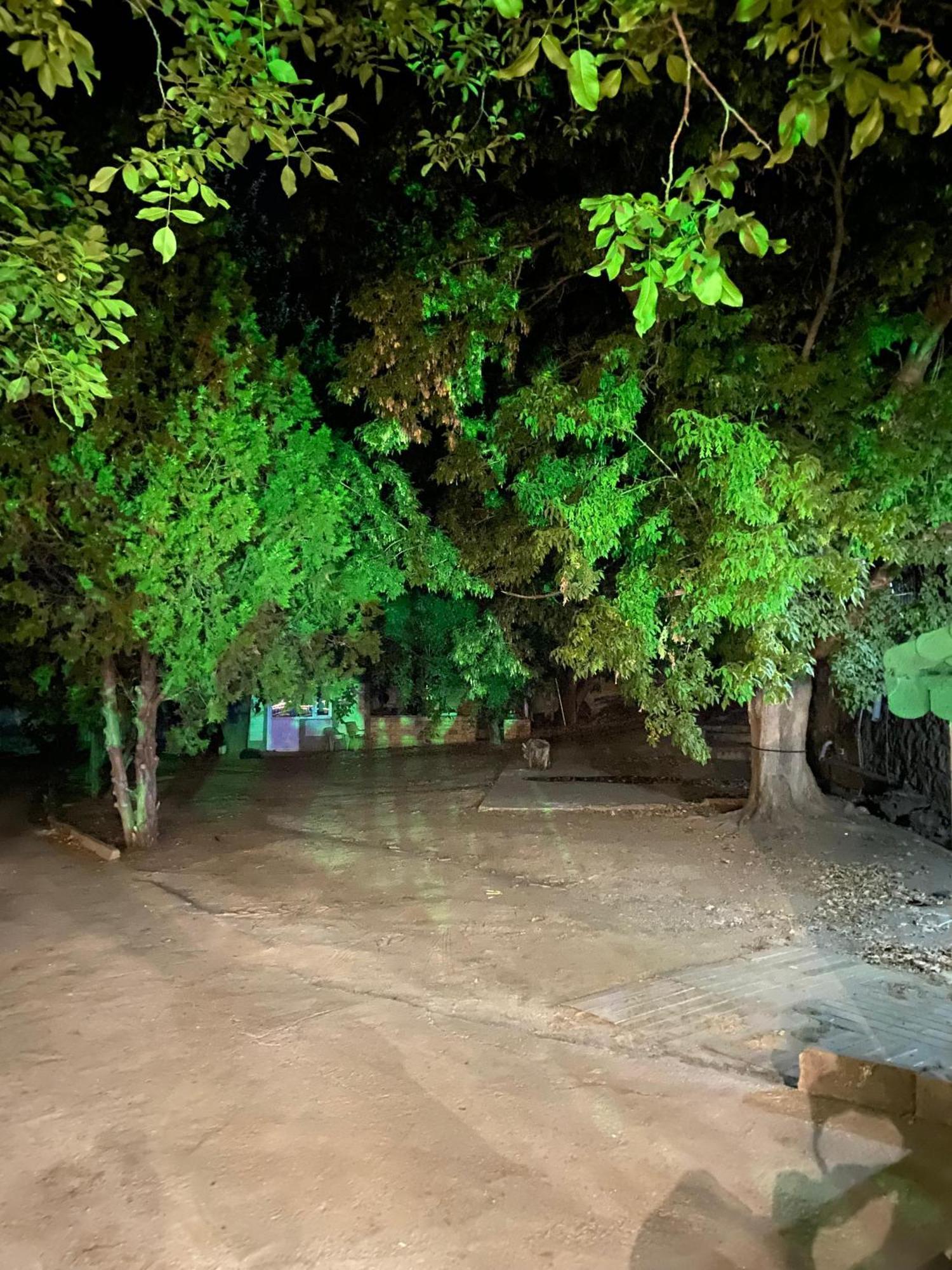 Apartmán Erdem Ciftligi/ Ephesus Arena Selcuk Exteriér fotografie